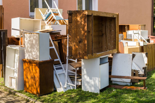 Best Carpet Removal and Disposal  in Janesville, IA